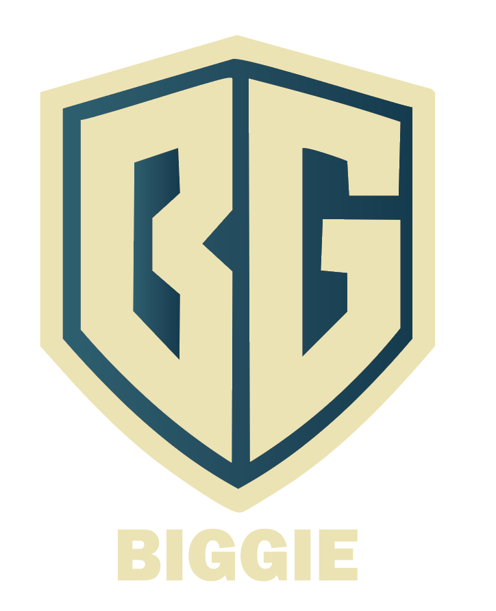 비기캐리어 썸네일