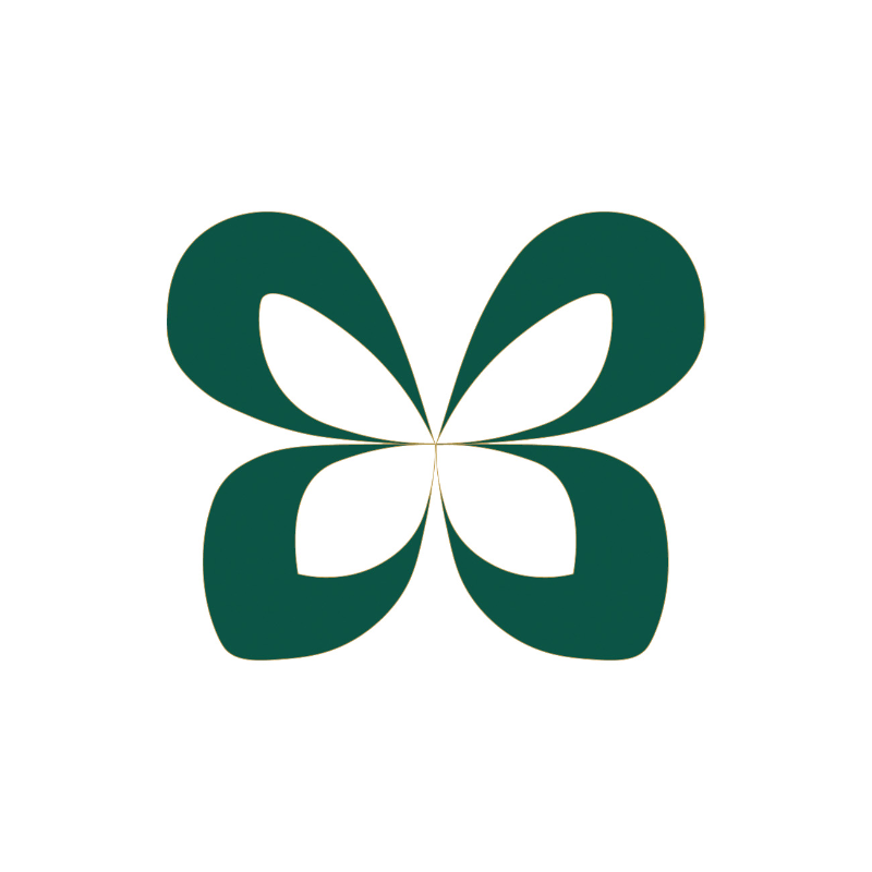 PINE FOREST 썸네일