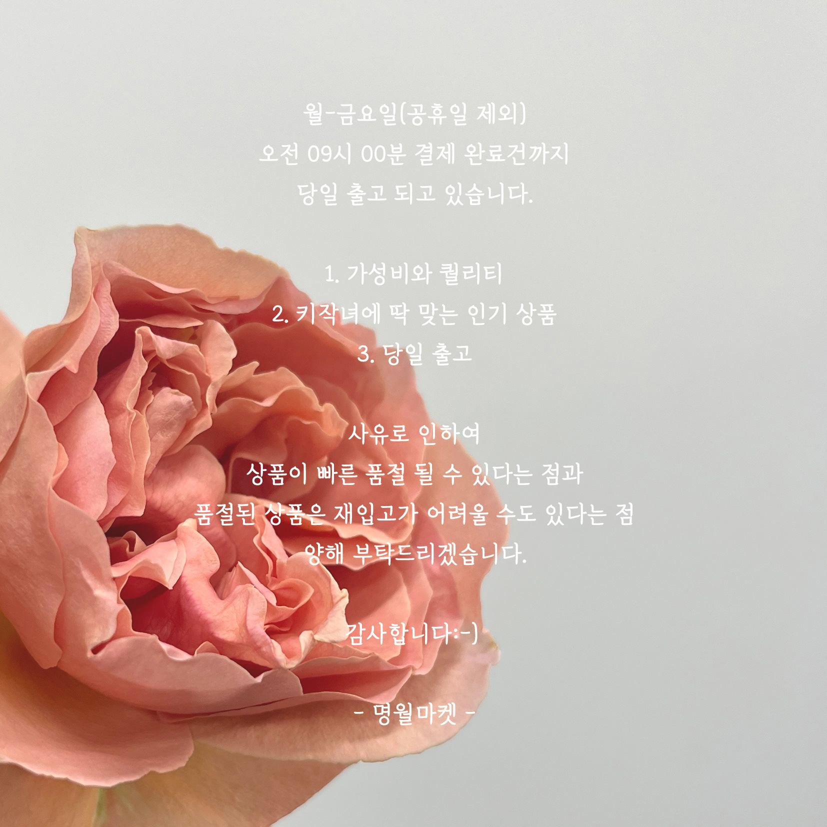 셀러 공지 이미지